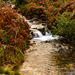 Snowdonia, a stream on its way to Llyn Dinas
