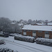 DSC08114