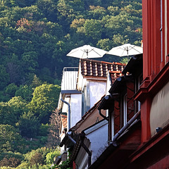 Roof services in Heidelberg