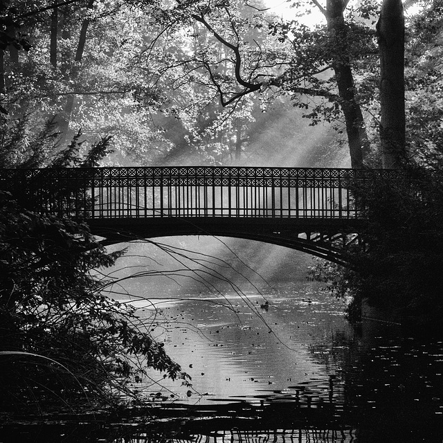 Shine On You Crazy Diamond | :-)