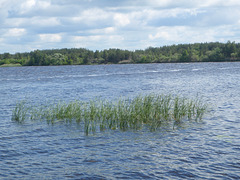 Киевское море Киевское море