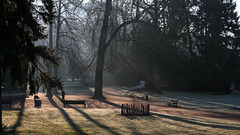 BESANCON: 2017.02.19 Parc Micaud 03