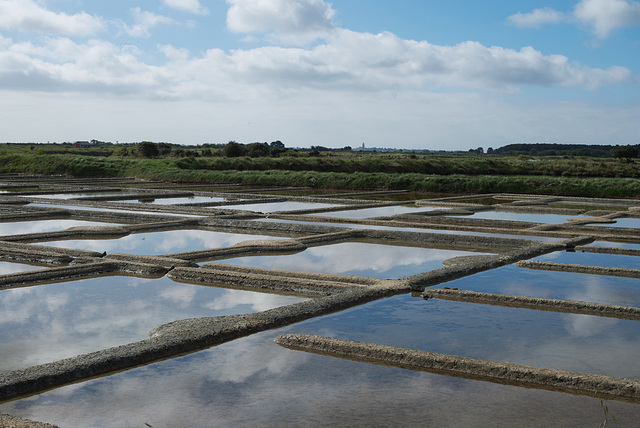 das wird "Fleur de Sel"