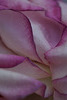 2008.03.18 (3)