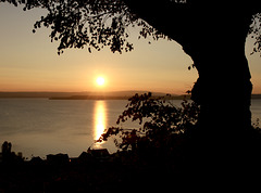 Untergehende Sonne über dem Bodensee