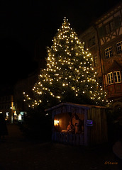 Auf dem Rathausplatz