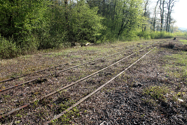 Reste von Grubenbahngleisen