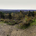 Panoramic view from the top of Crooksbury Hill