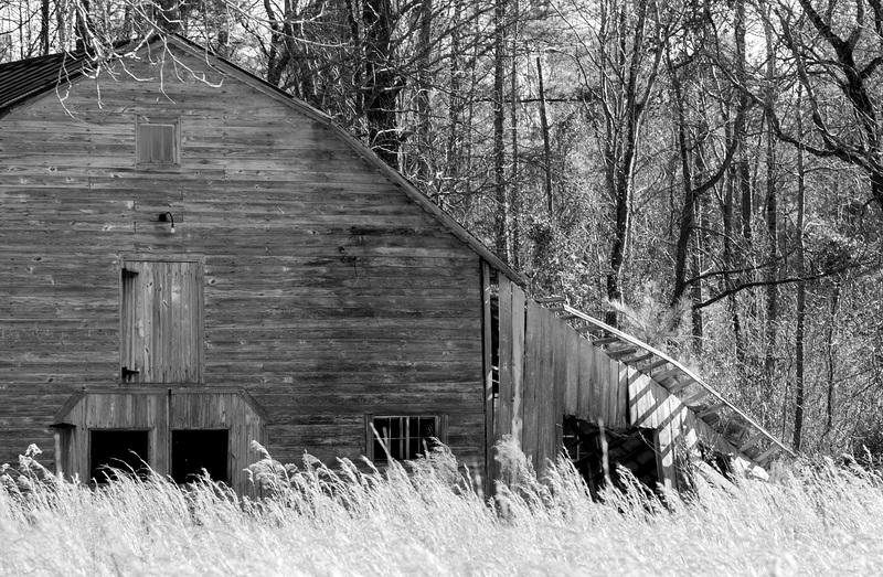 Barn and grasses