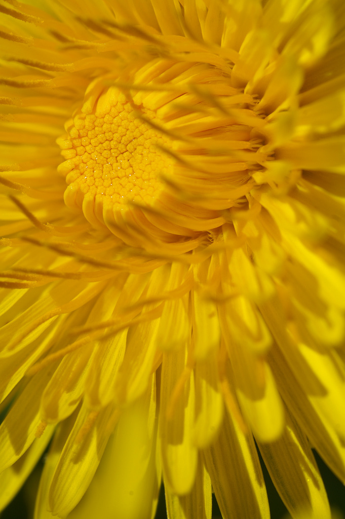 2008.04.29 (8)