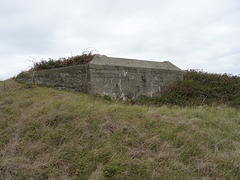 wg (1136)