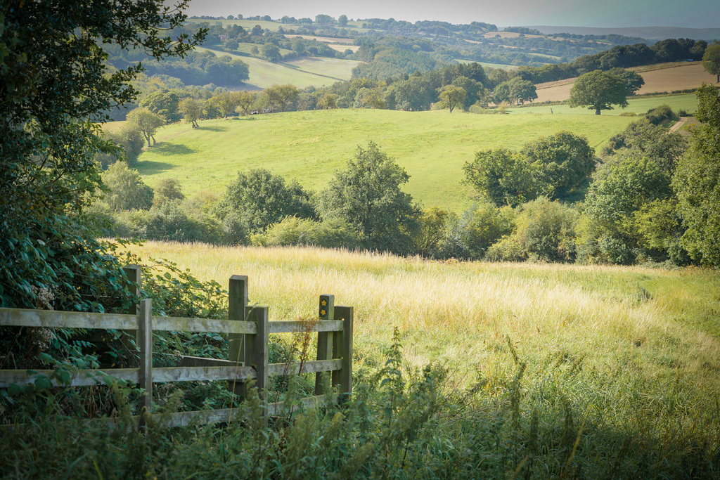 A 'Happy fence Friday' and 'good wishes' to all - from Dj.