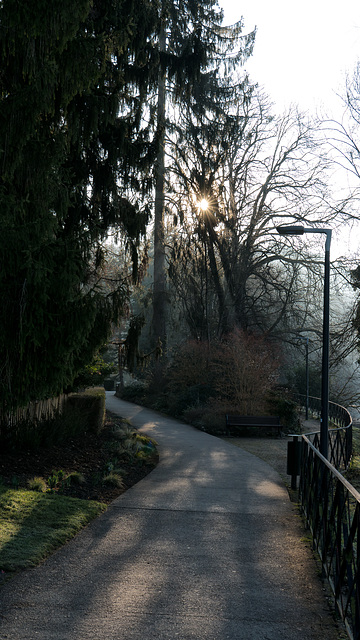 BESANCON: 2017.02.19 Parc Micaud 05