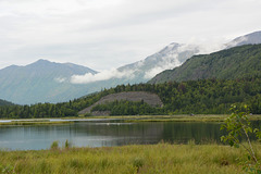 Alaska, Swans on Lake Tern and Cooper Mountains in the Background