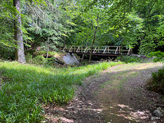 Bridge across the Dorback