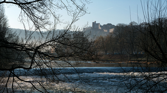 BESANCON: 2017.02.19 Parc Micaud 06