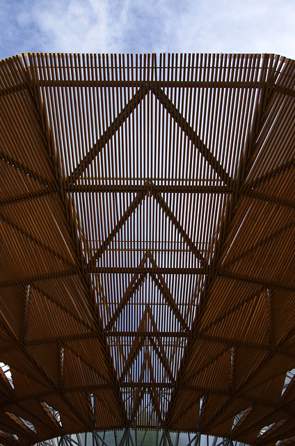 The Serpentine Pavilion 2017