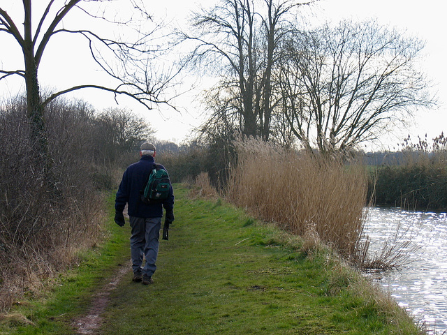 Worcester and Birmingham Canal below Atwood Lane Bridge