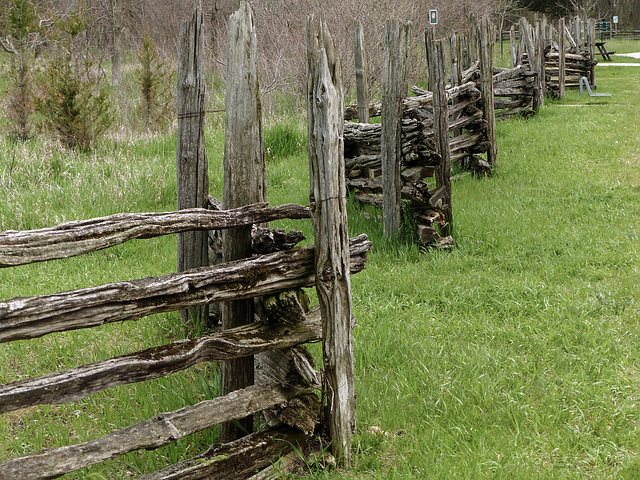 Day 3, fence at DeLaurier Homestead, Pt Pelee