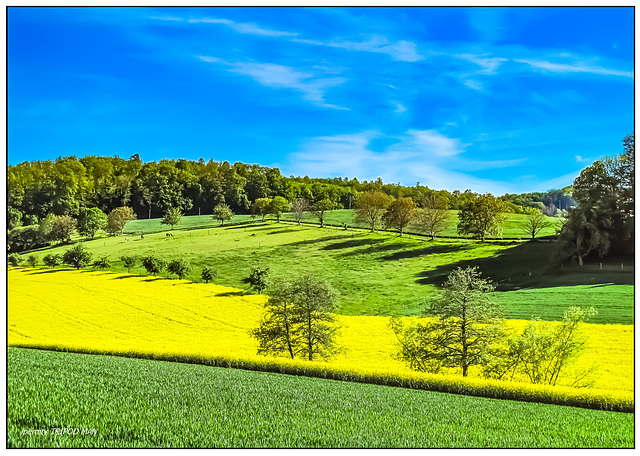 Markgräflerland