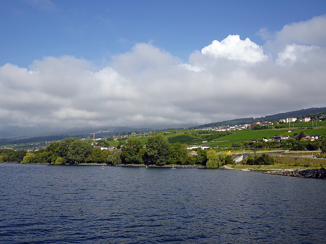 Region bei Auvernier am Neuenburgersee