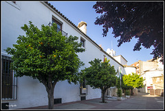 Plaza de la Constitución (Mérida)