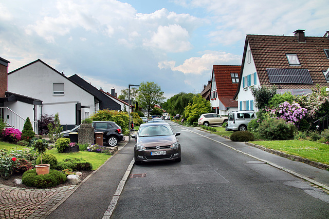 Eddaweg (Dortmund-Lücklemberg) / 18.05.2024