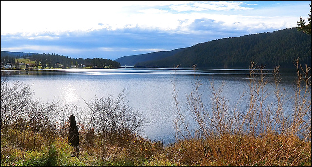 McLeese Lake, BC