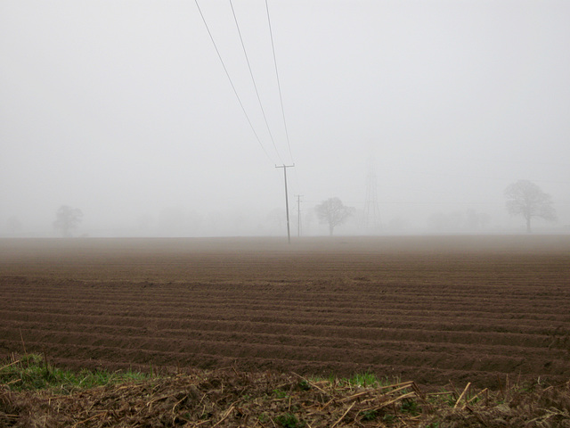 Mist across ploughed field near Kingswood Bank Farm