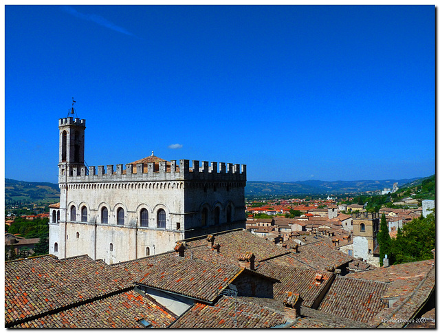 Palazzo dei Consoli e tetti