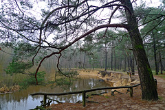 Nederland - De Lutte, Lutterzand