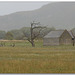 The barn on the marsh