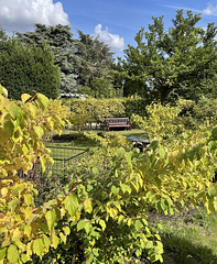 HBM Wentworth Castle Gardens South Yorkshire 5th September 2025