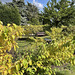 HBM Wentworth Castle Gardens South Yorkshire 5th September 2025