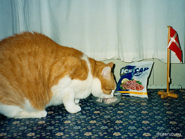 Rudolf's birthday, 1998