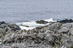Hamningberg