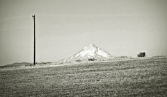 Mount Hood