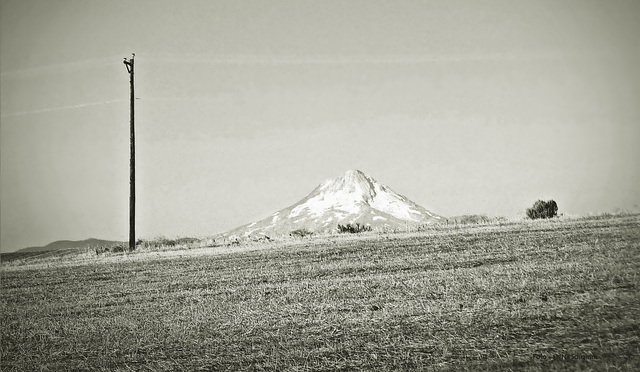 Mount Hood