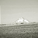 Mount Hood