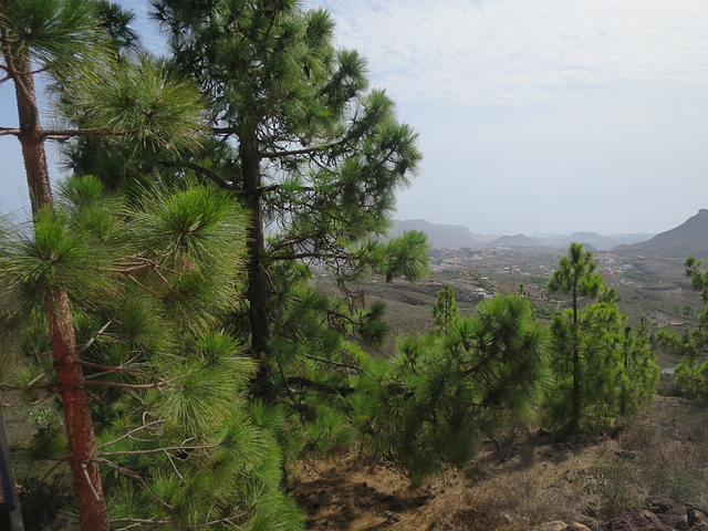 Teide National Park