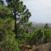 Teide National Park