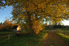 L'automne à Gouville