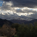 Palm Springs El Nino Jan1x (#0311)
