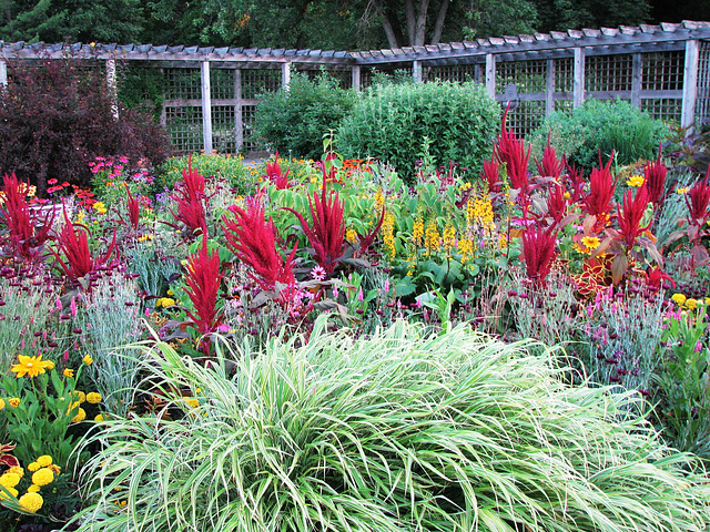 Idea Garden at Cantigny