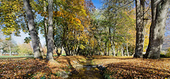 Der Bach findet seinen Weg im Park :))  The stream finds its way in the park :))  Le ruisseau trouve son chemin dans le parc :))