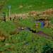 Footpath and Stile to Little Padfield