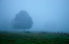 alles versinkt im Nebel - HFF!