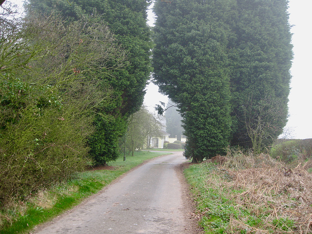 Track from the A461 towards Wrottesley Hall