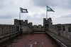 On The Roof Of Gravensteen