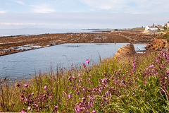 St Monans Lido